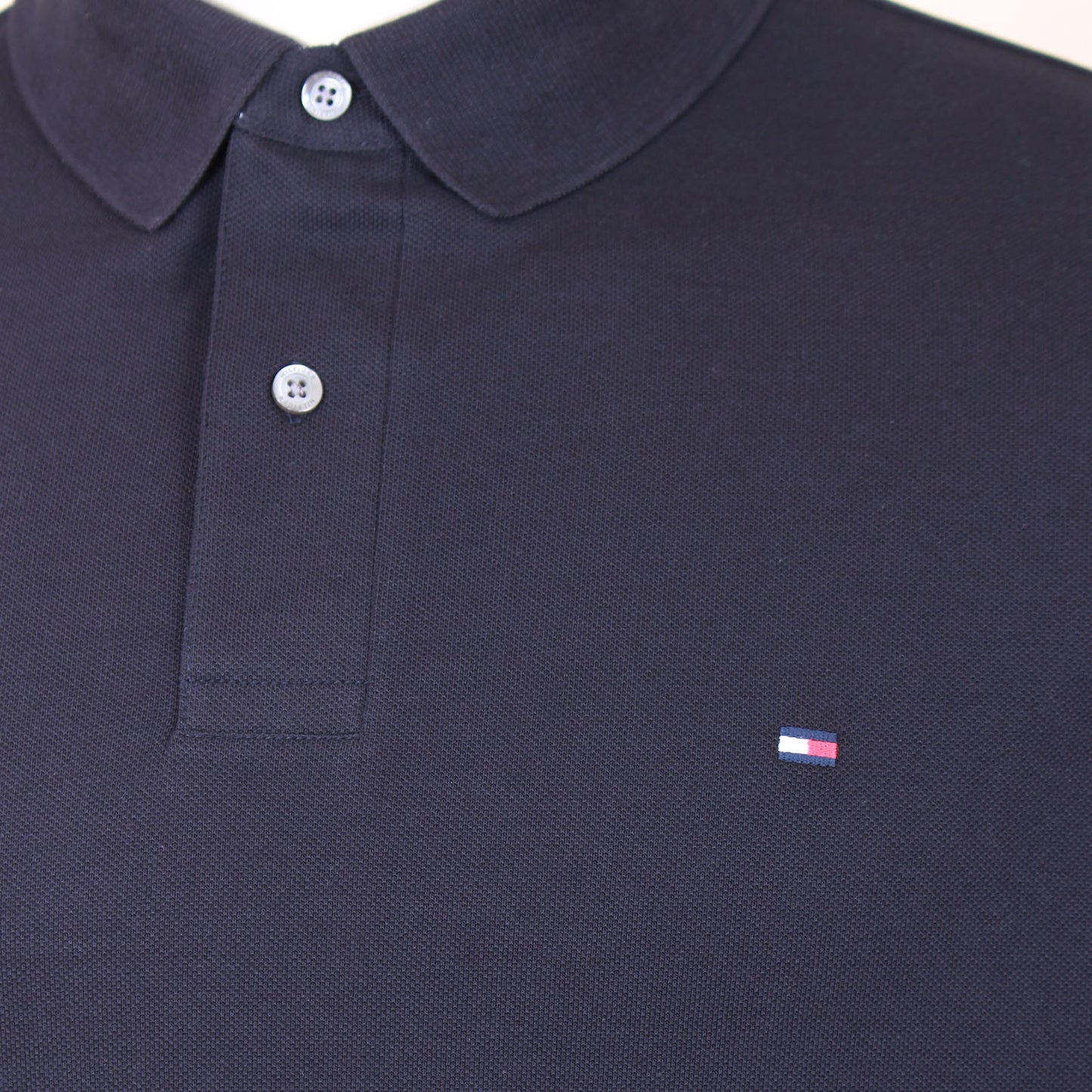 Plus Size 1985 Regular L/S Polo Desert Sky