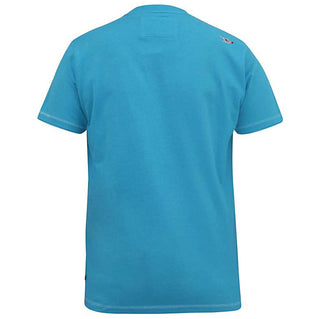 D555 Plus Size Aaron 'Surfers Paradise' T-Shirt Turquoise