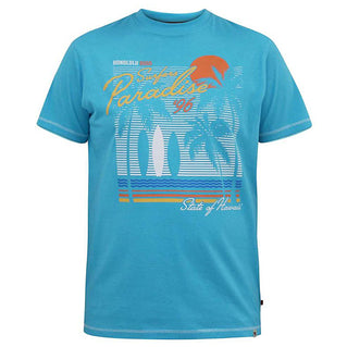 D555 Plus Size Aaron 'Surfers Paradise' T-Shirt Turquoise