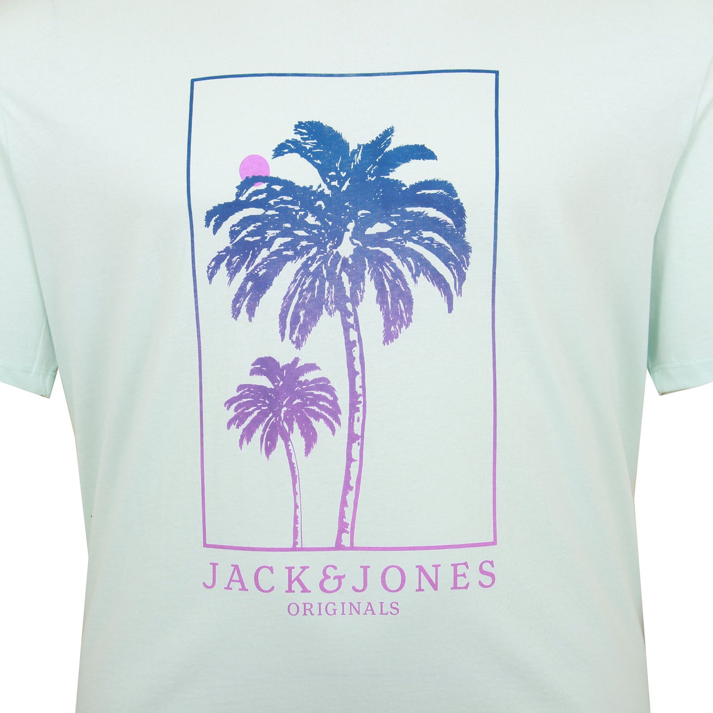 Jack & Jones Plus Size Lafayette T-Shirt Skylight