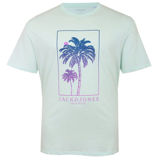 Jack & Jones Plus Size Lafayette T-Shirt Skylight