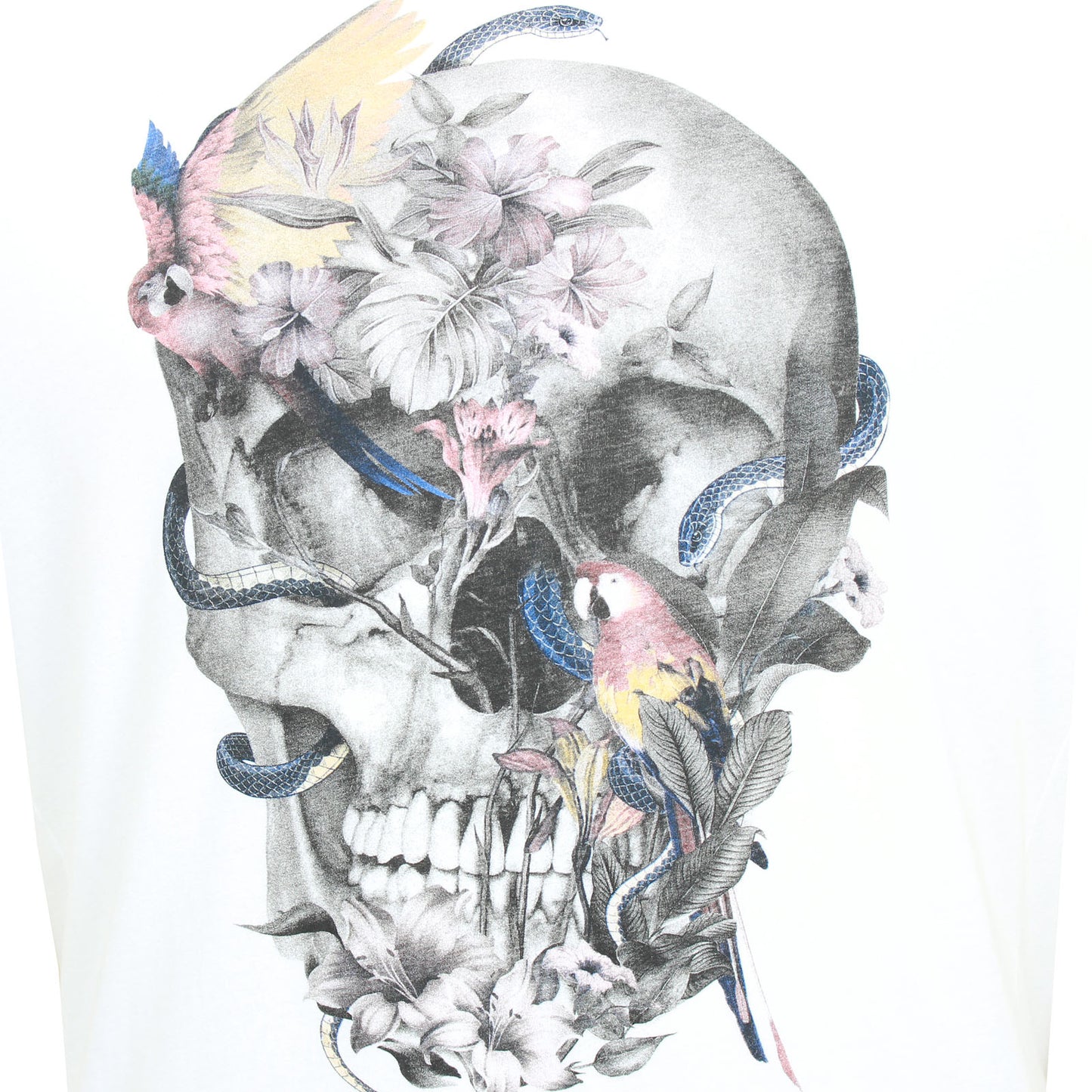 Plus Size Parrot Skull T-Shirt White