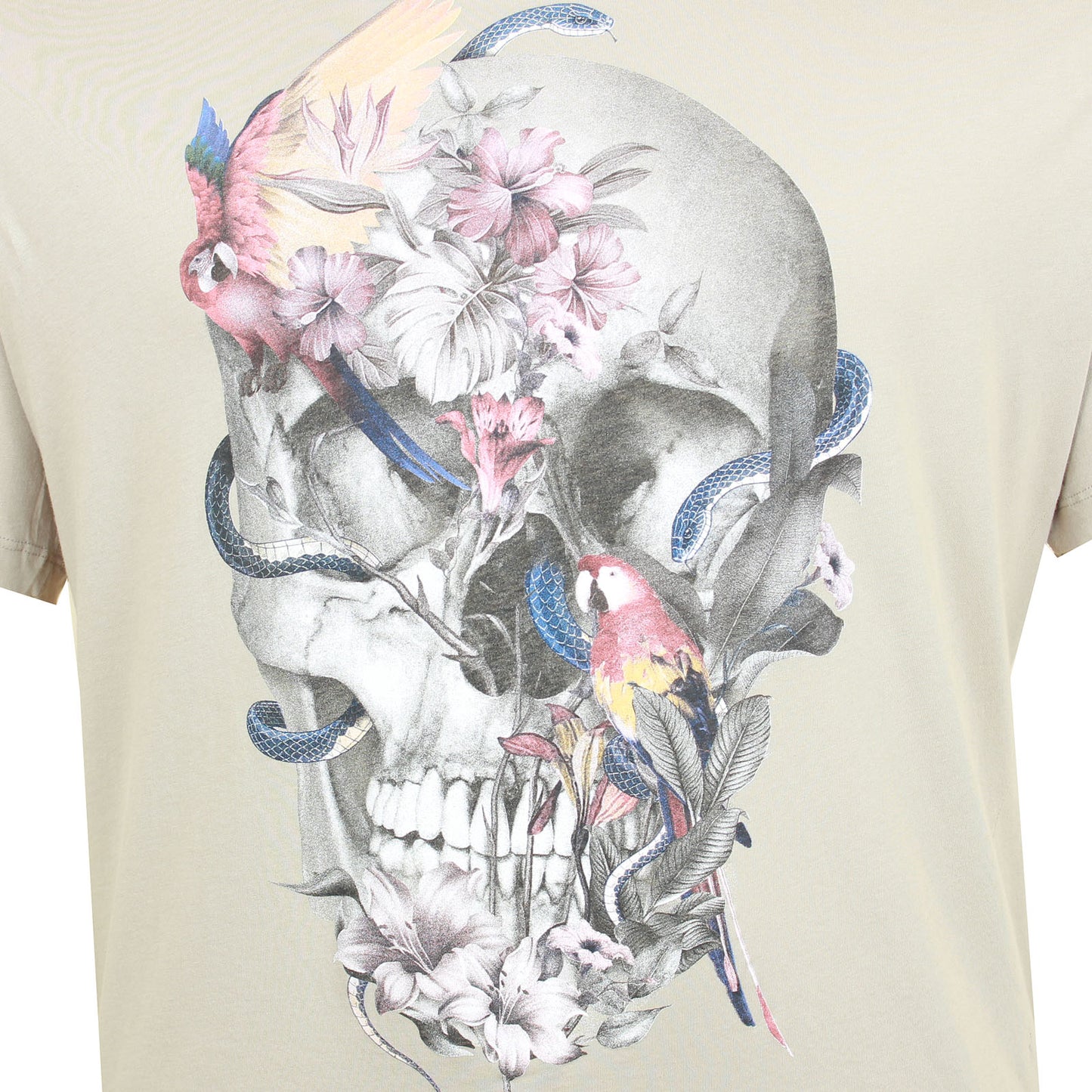 Plus Size Parrot Skull T-Shirt Fawn