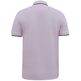 D555 Plus Size Hamford Twin Tipped Polo Pink