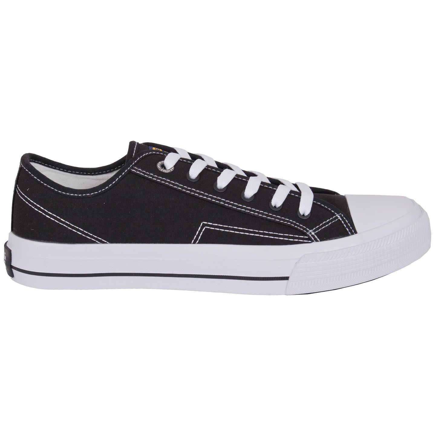 Corp Low Canvas Sneakers Anthracite