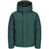 Jack & Jones Plus Size World Puffer Jacket Magical Forest