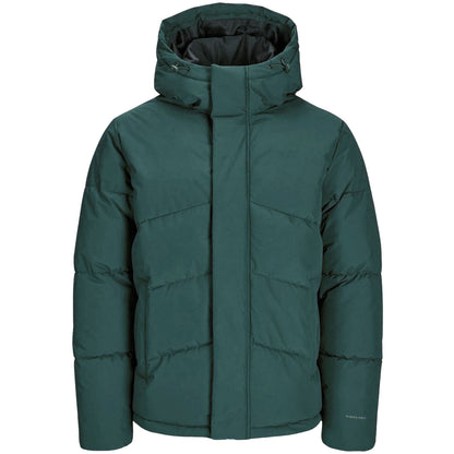 Jack & Jones Plus Size World Puffer Jacket Magical Forest