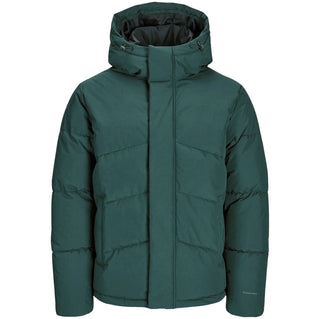 Jack & Jones Plus Size World Puffer Jacket Magical Forest