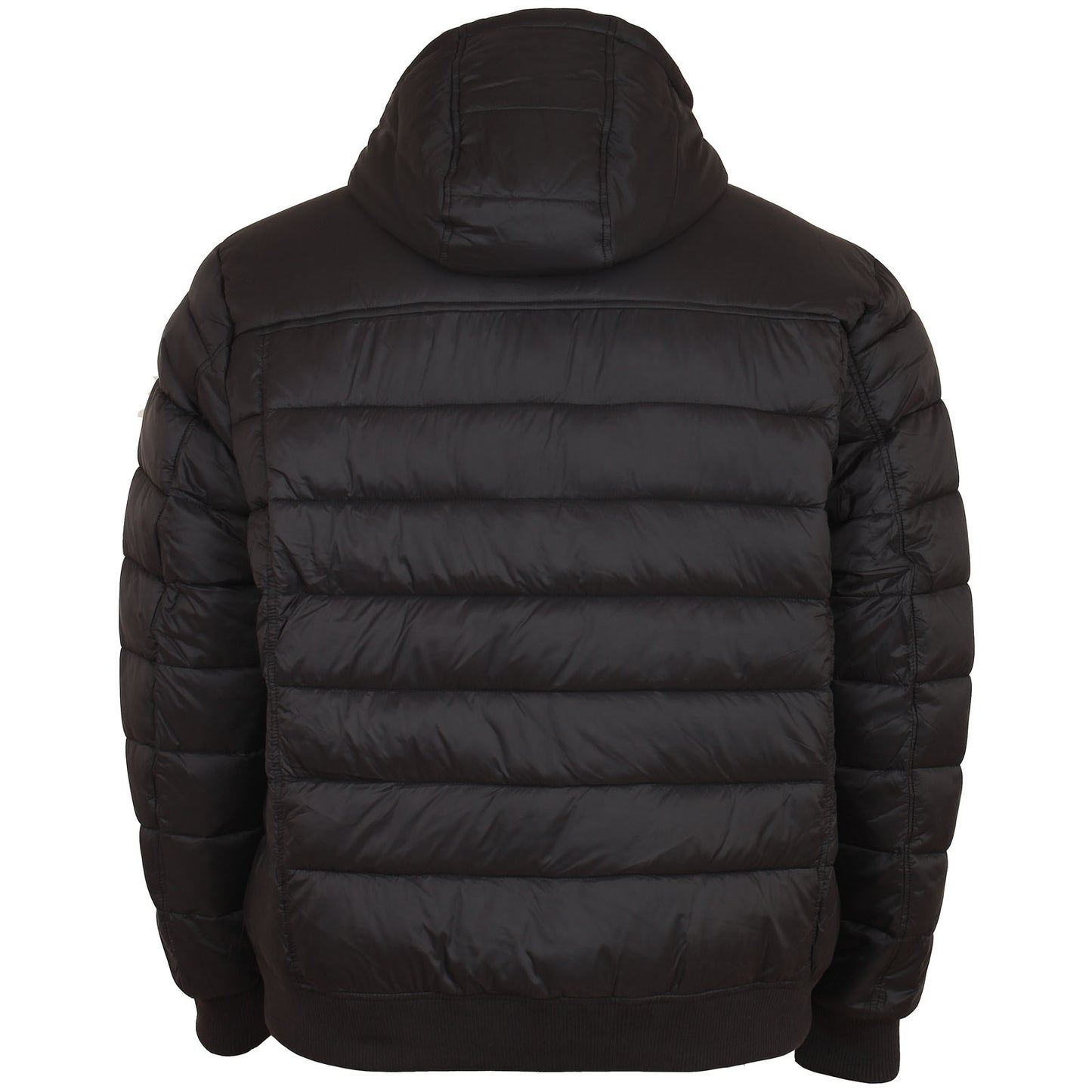 Lyle & Scott Plus Size Wadded Jacket Black