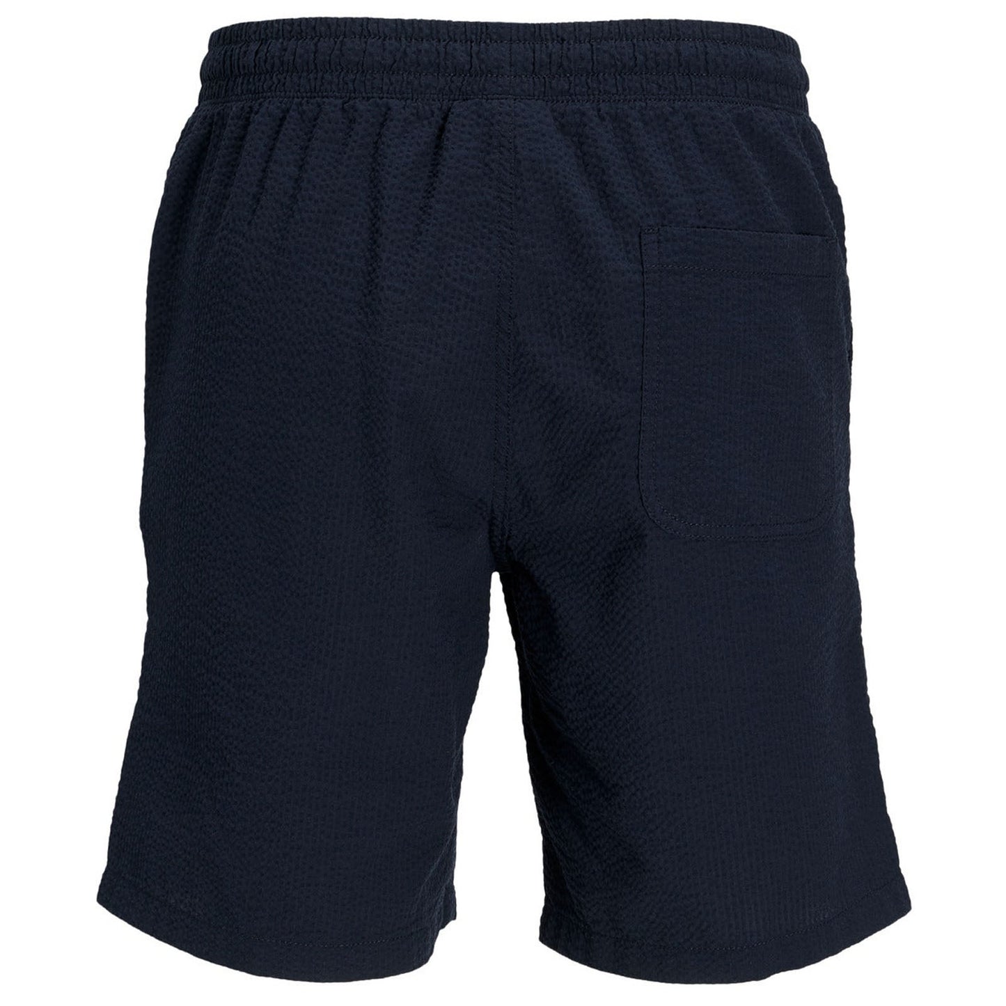 Plus Size Jaiden Palma Seersucker Shorts Sky Captain