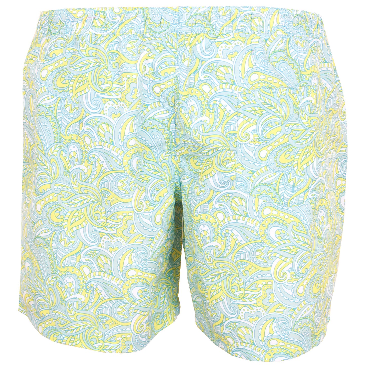 Plus Size Fiji Paisley Swim Shorts Ethereal Blue