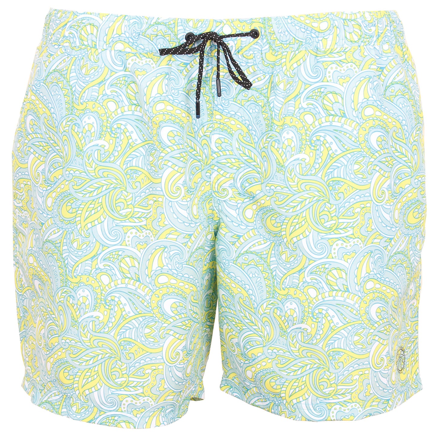 Plus Size Fiji Paisley Swim Shorts Ethereal Blue