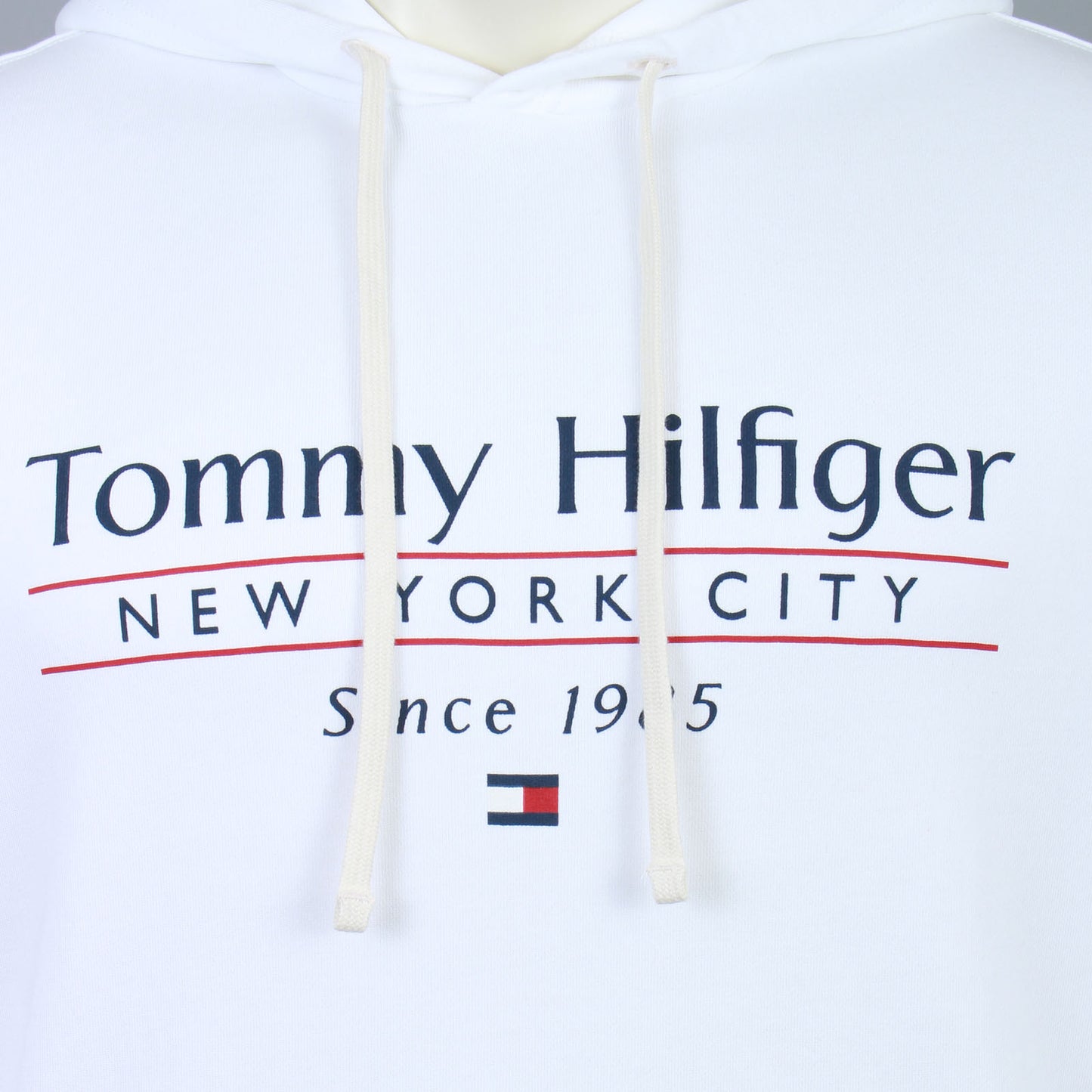 Tommy Hilfiger Plus Size Center Stack Hoodie White