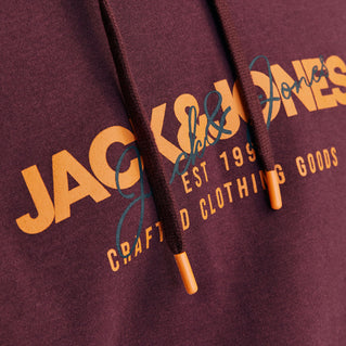 Jack & Jones Plus Size Alvis Graphic Overhead Hoodie Vineyard Wine