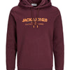 Plus Size Alvis Graphic Overhead Hoodie Vineyard Wine