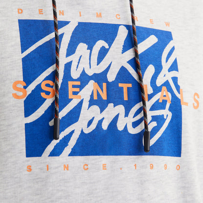 Jack & Jones Plus Size Colton Hoodie White Melange